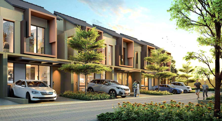 cluster-Lynelle-Vireya-BSD